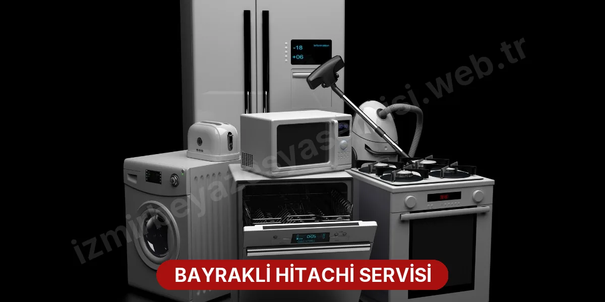Bayrakli Hitachi Servisi
