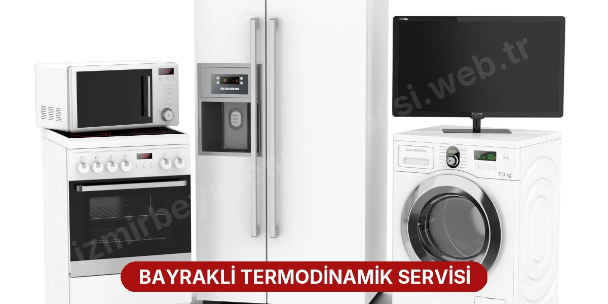 Bayrakli Termodinamik Servisi