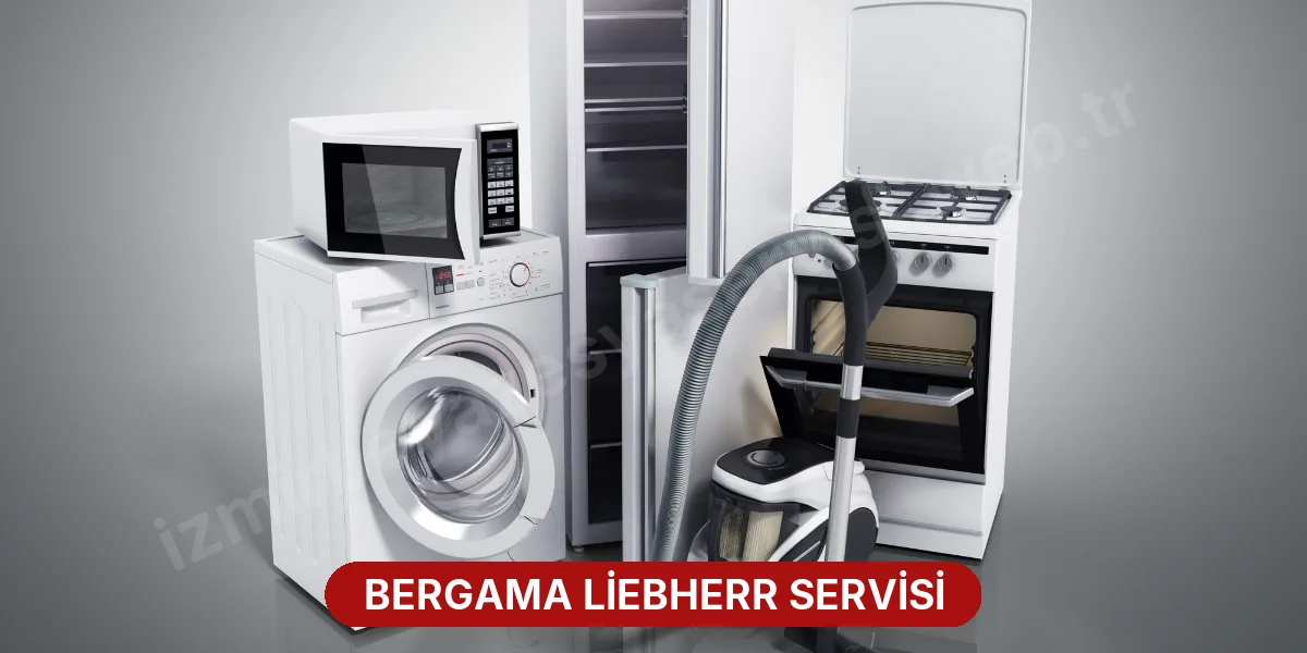 Bergama Liebherr Servisi