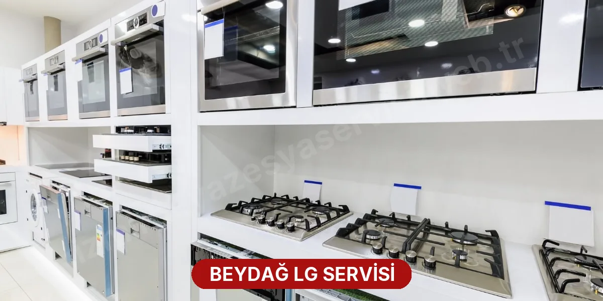 Beydağ LG Servisi