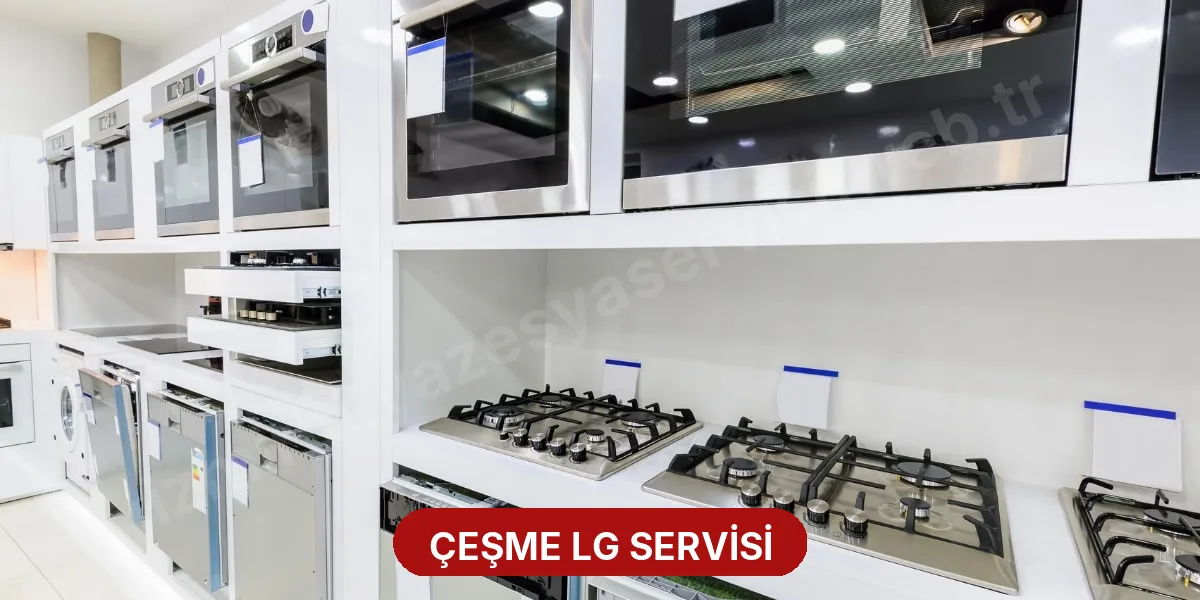 Çeşme LG Servisi