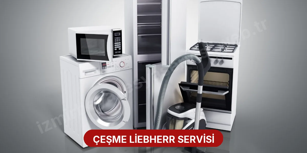 Çeşme Liebherr Servisi