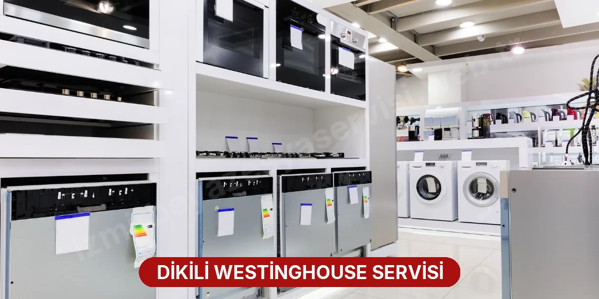 Dikili Westinghouse Servisi