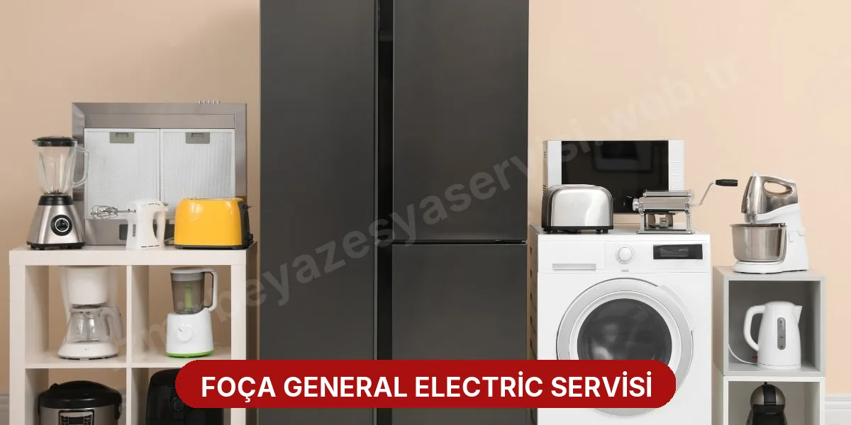 Foça General Electric Servisi