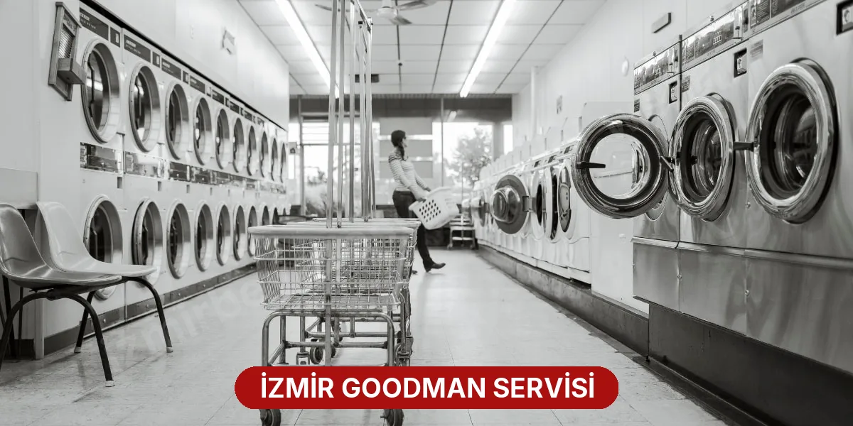 İzmir Goodman Servisi