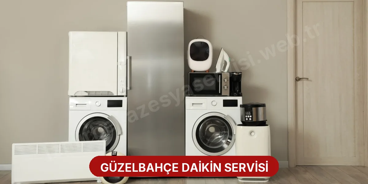 Güzelbahçe Daikin Servisi