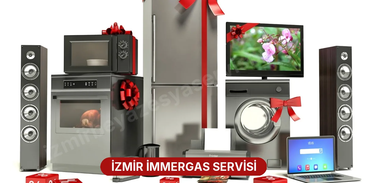 İzmir İmmergas Servisi