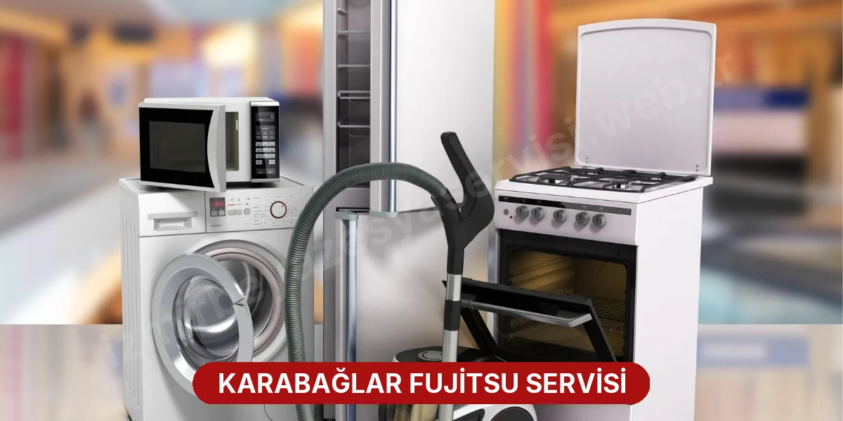 Karabağlar Fujitsu Servisi