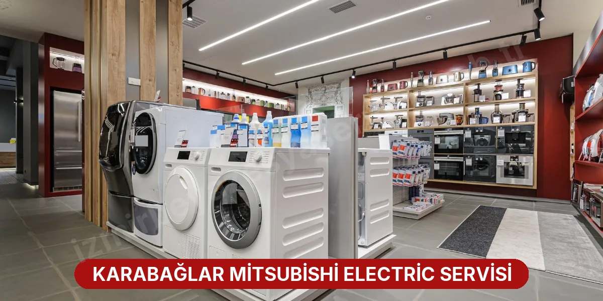 Karabağlar Mitsubishi Electric Servisi