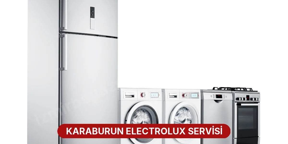 Karaburun Electrolux Servisi