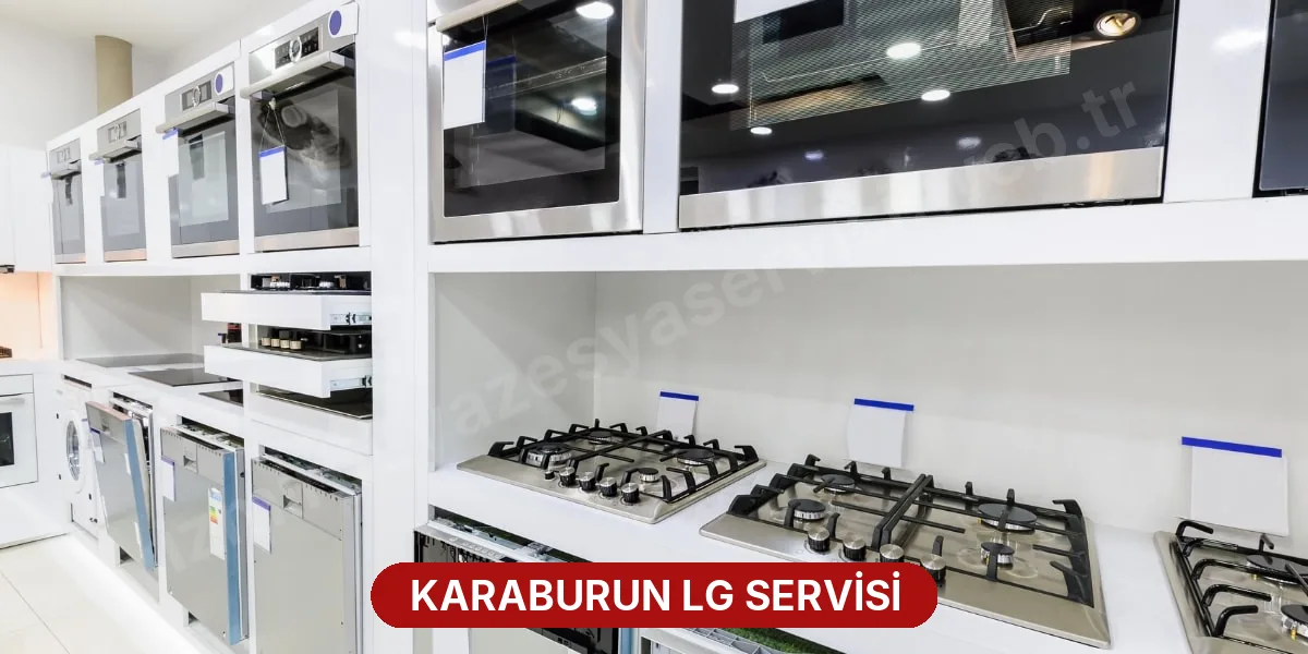 Karaburun LG Servisi