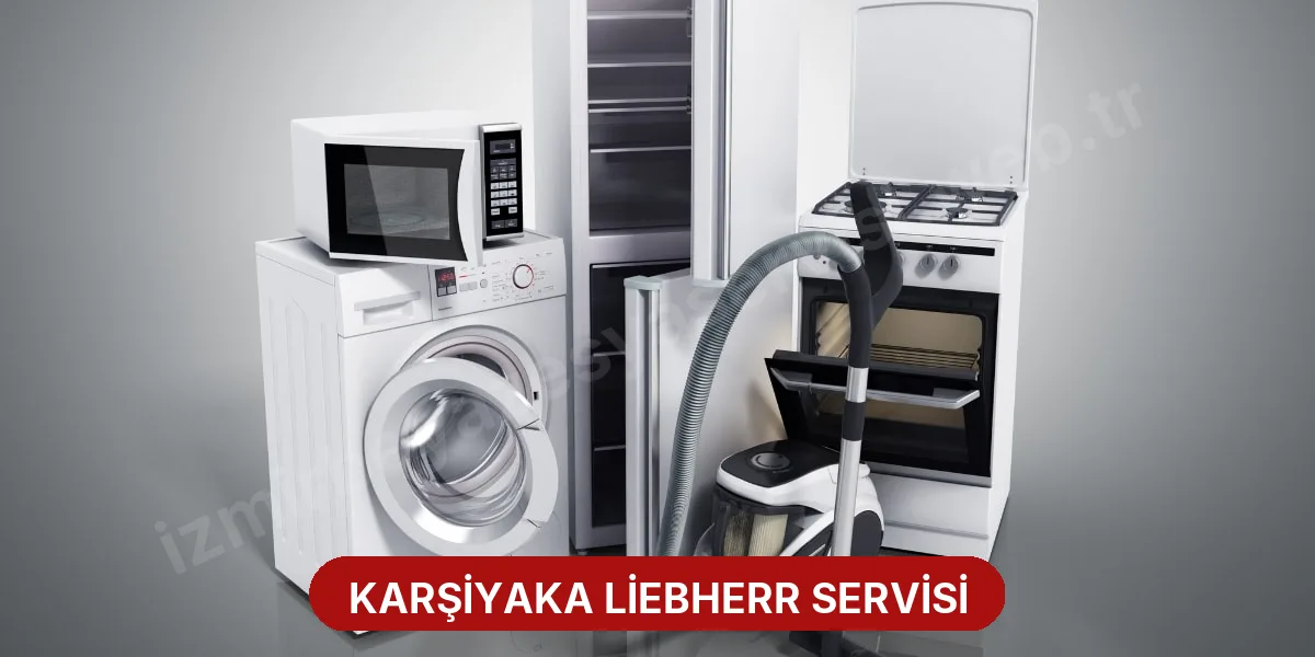 Karşiyaka Liebherr Servisi