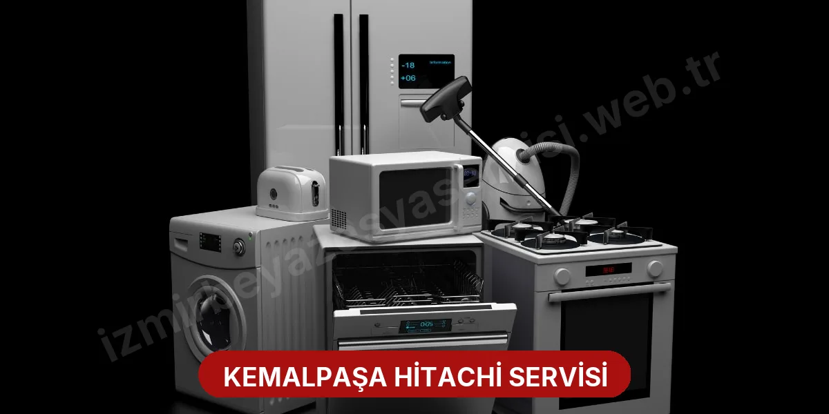 Kemalpaşa Hitachi Servisi