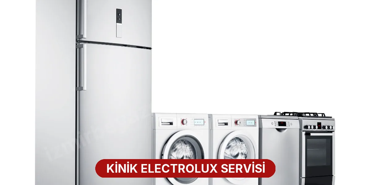 Kinik Electrolux Servisi
