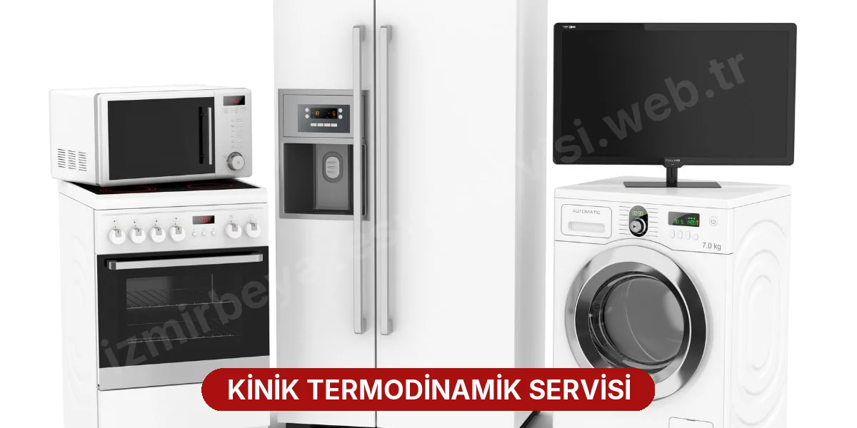 Kinik Termodinamik Servisi