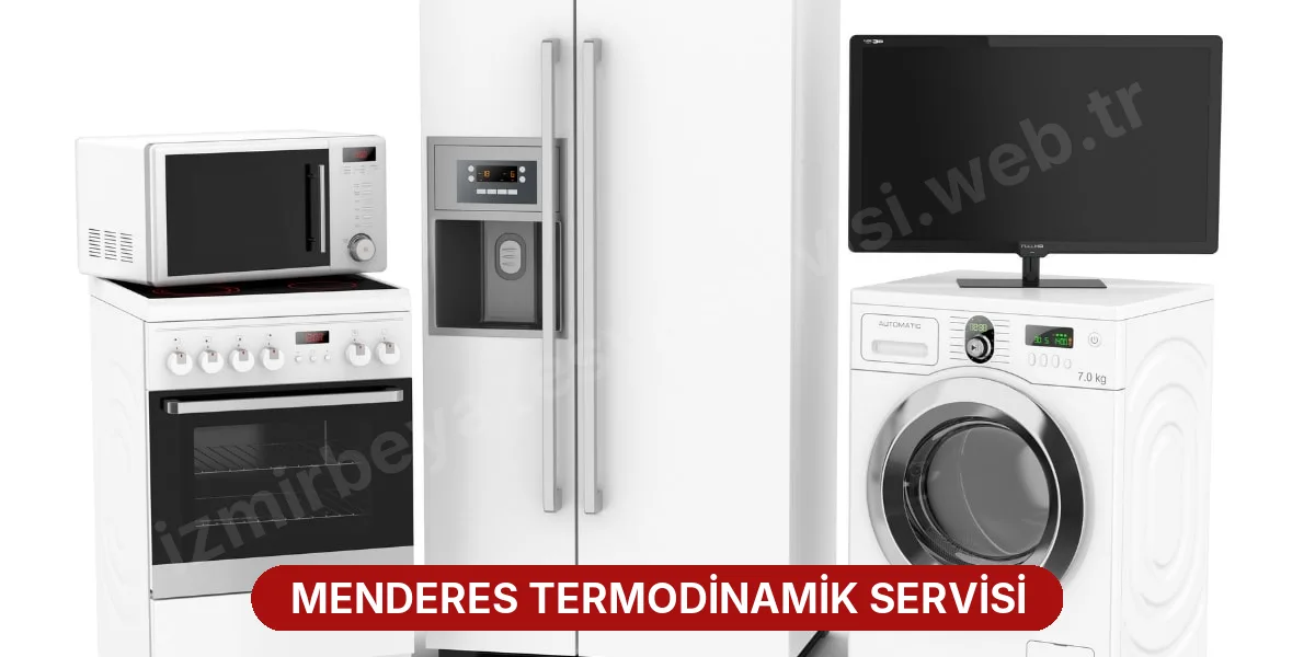 Menderes Termodinamik Servisi
