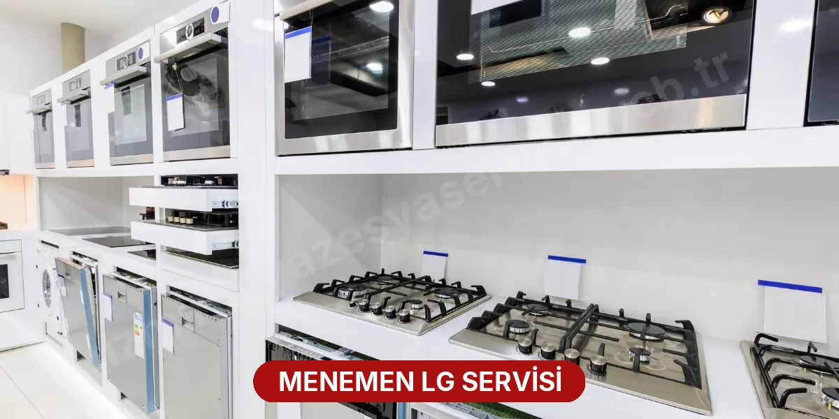 Menemen LG Servisi