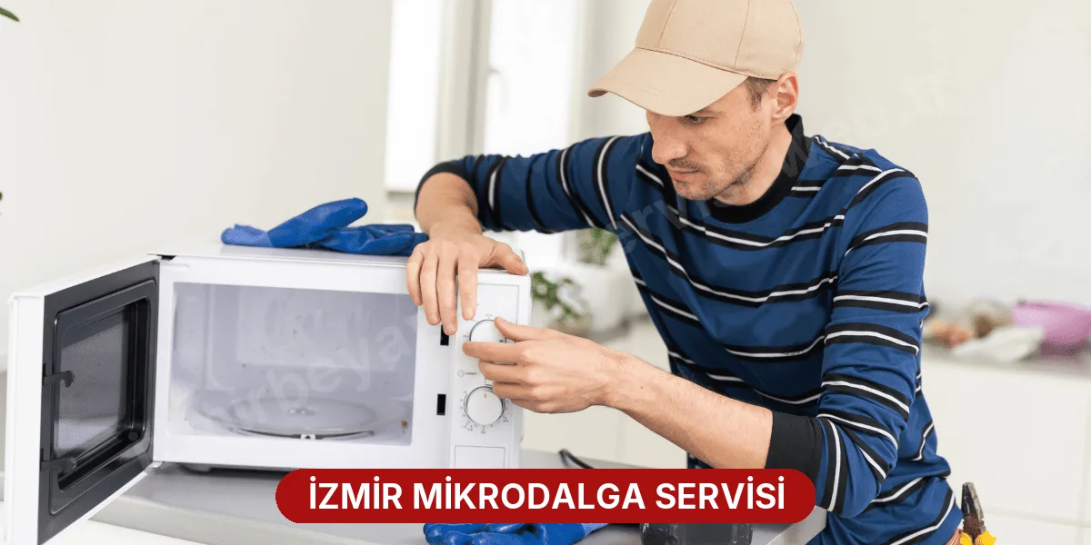 İzmir Mikrodalga Servisi