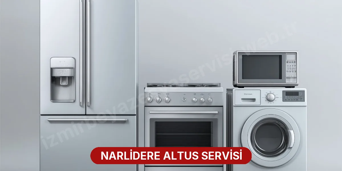 Narlidere Altus Servisi