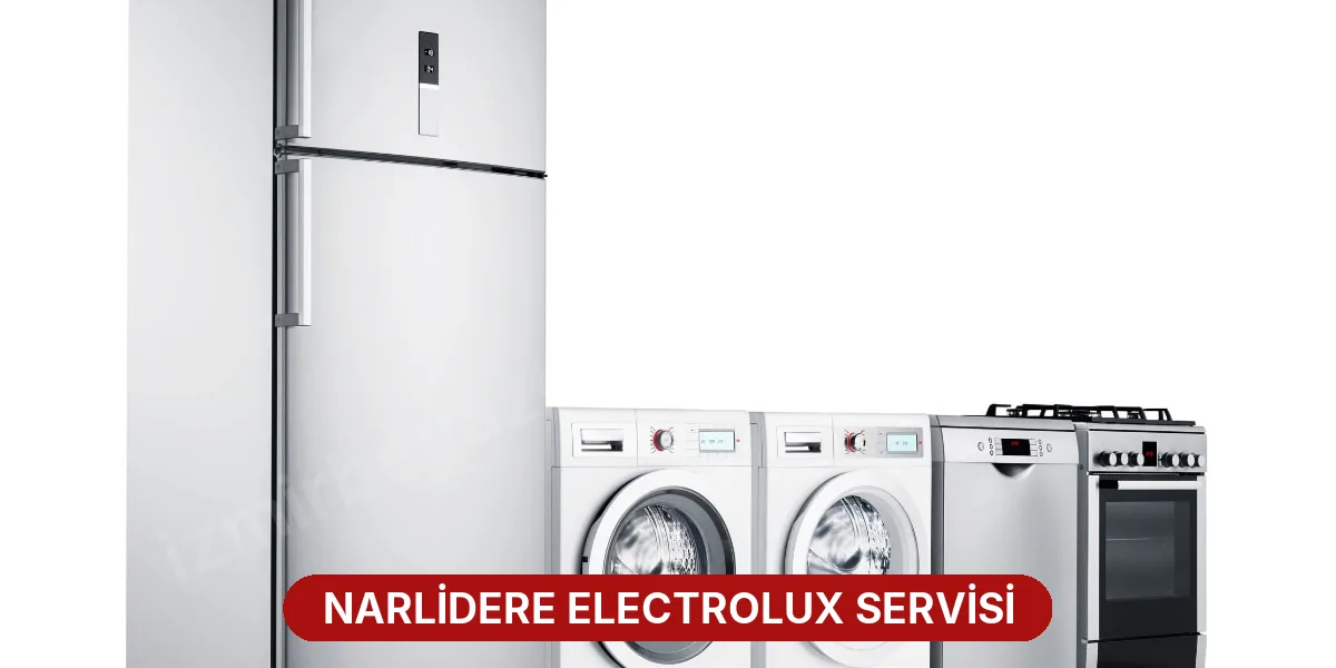 Narlidere Electrolux Servisi