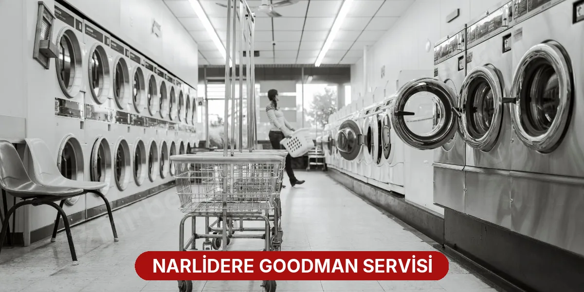 Narlidere Goodman Servisi