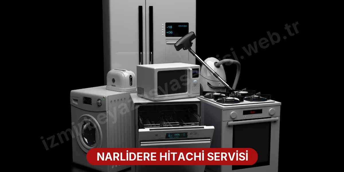Narlidere Hitachi Servisi