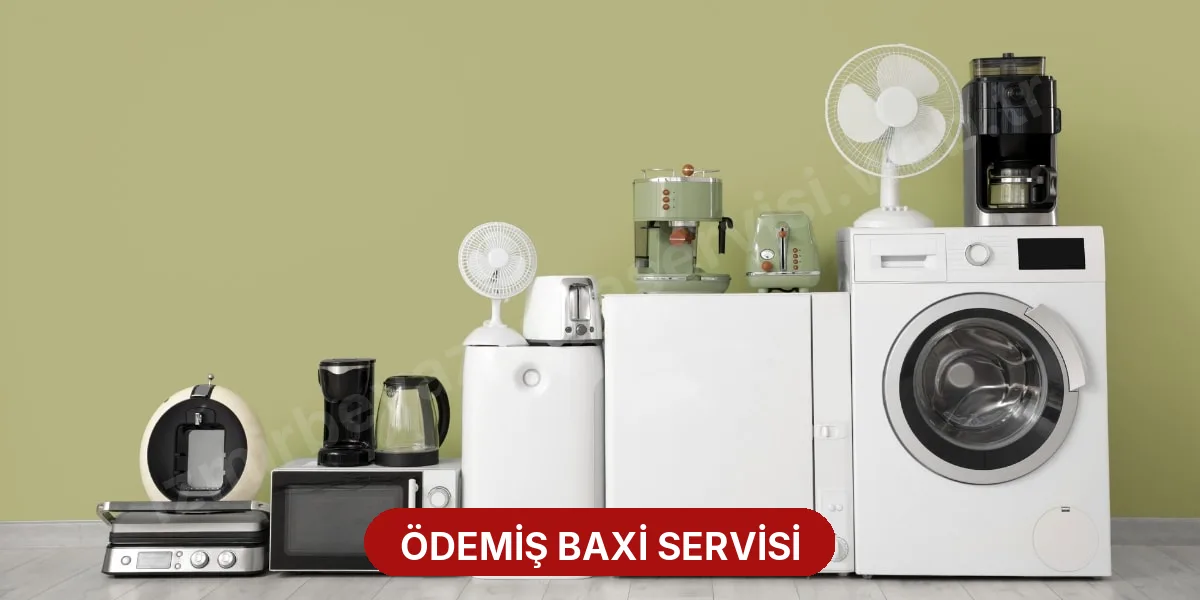Ödemiş Baxi Servisi