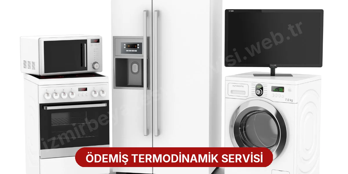 Ödemiş Termodinamik Servisi
