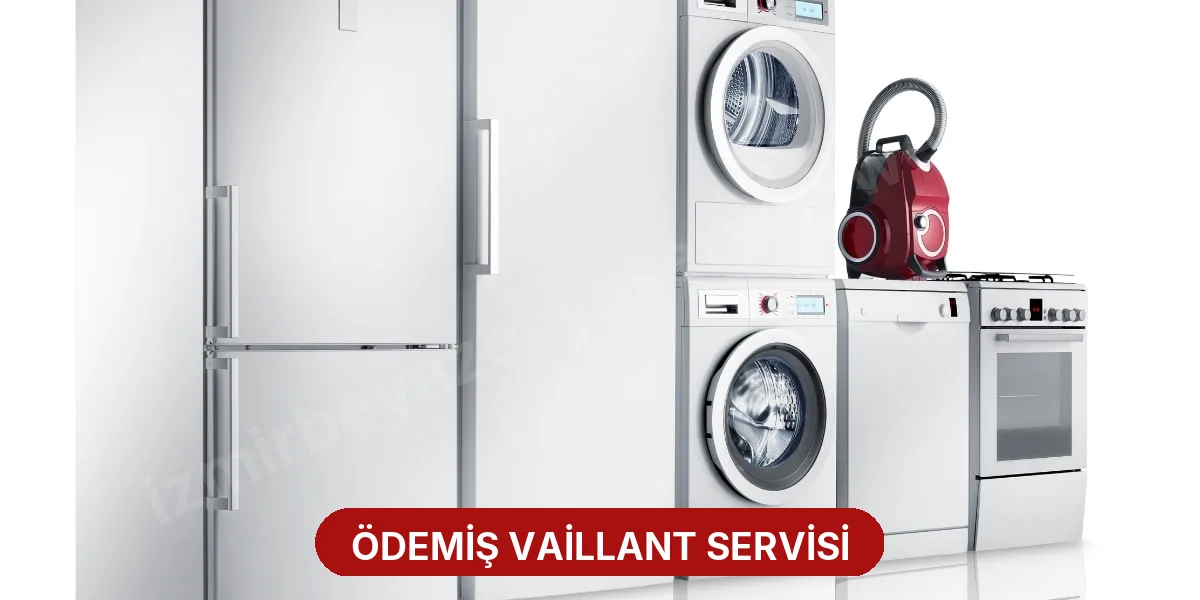 Ödemiş Vaillant Servisi