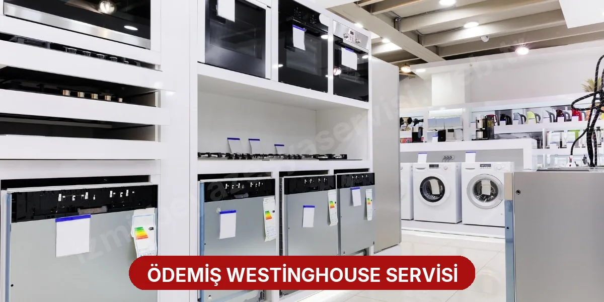 Ödemiş Westinghouse Servisi