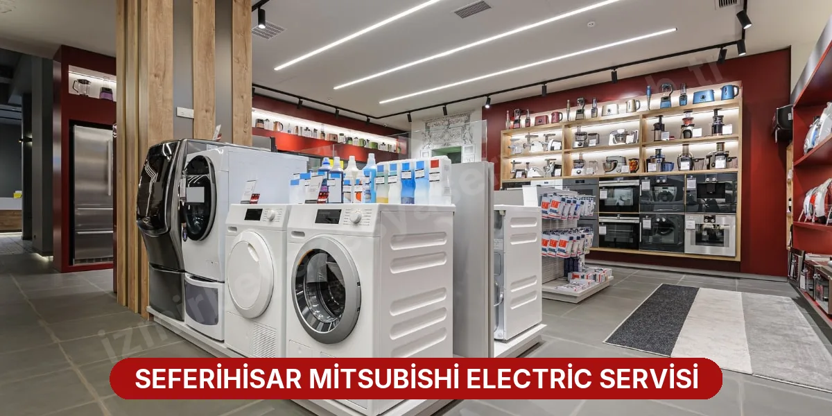 Seferihisar Mitsubishi Electric Servisi