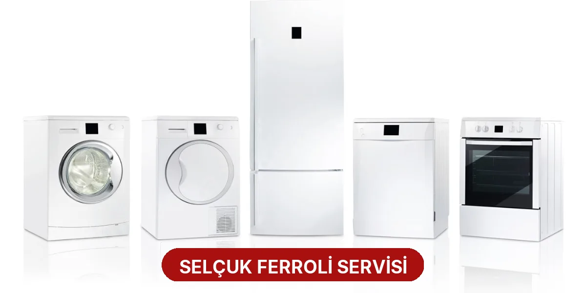 Selçuk Ferroli Servisi