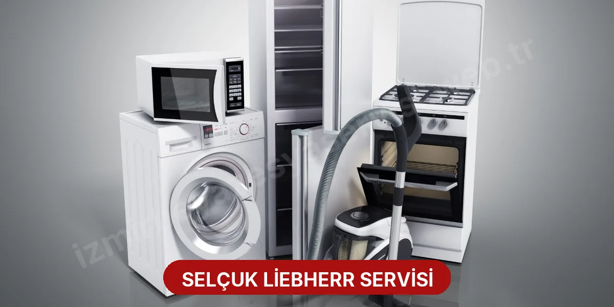 Selçuk Liebherr Servisi