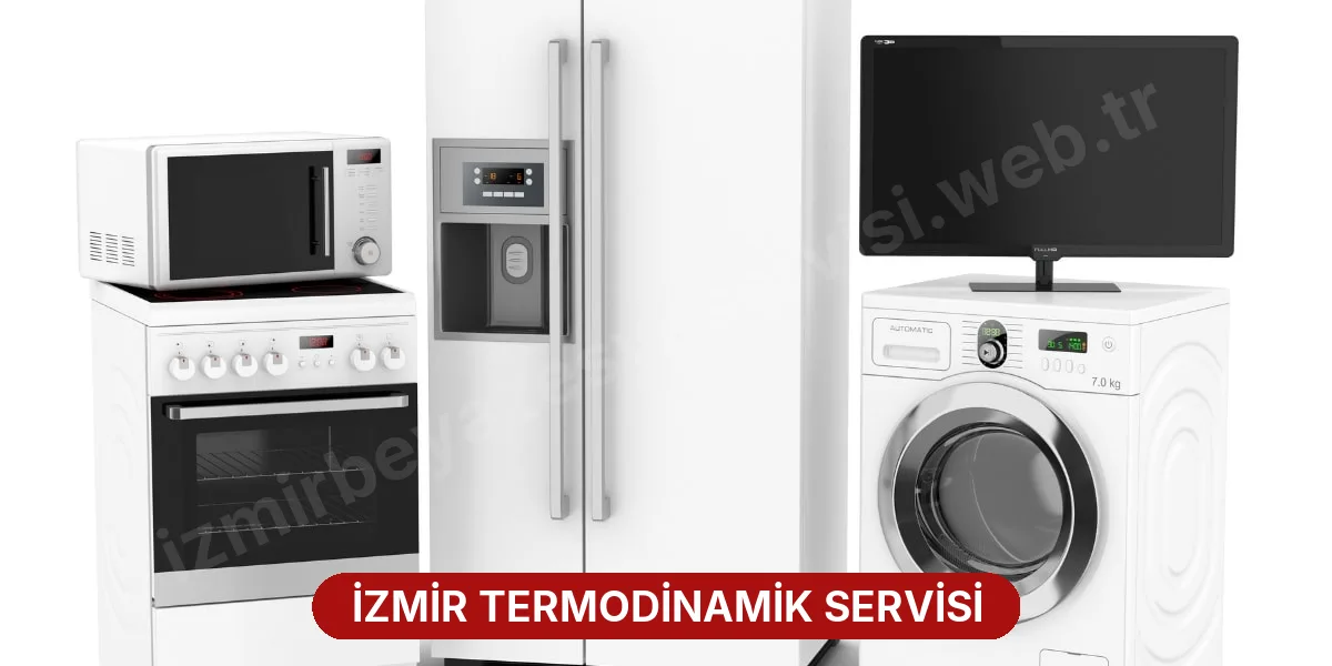 İzmir Termodinamik Servisi