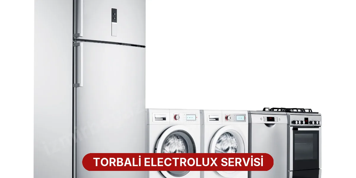 Torbali Electrolux Servisi