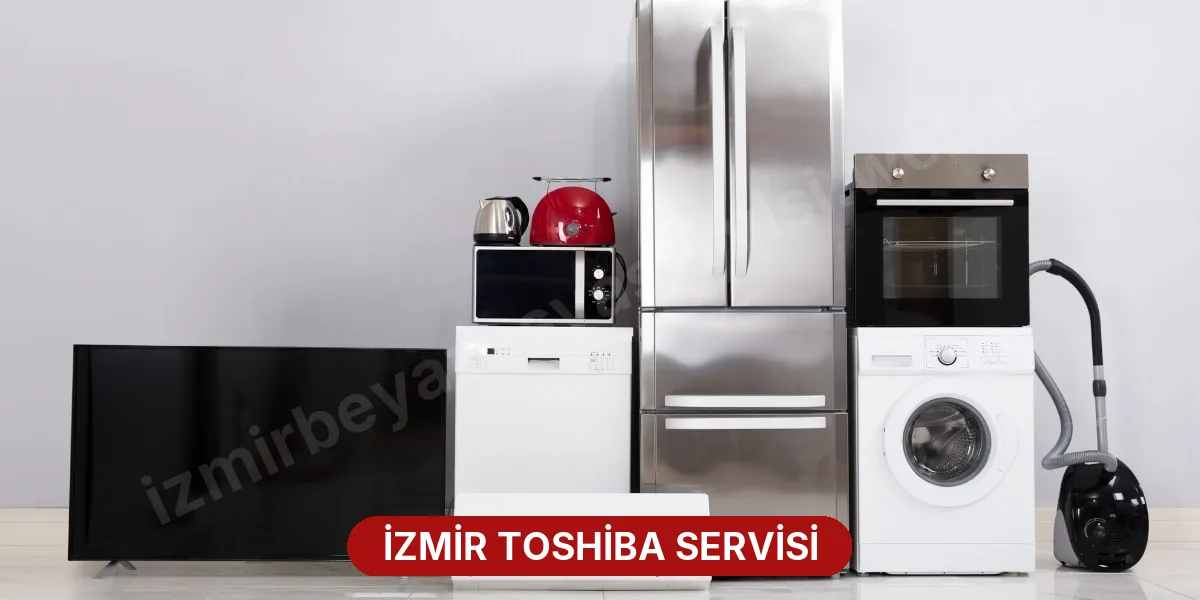 İzmir Toshiba Servisi