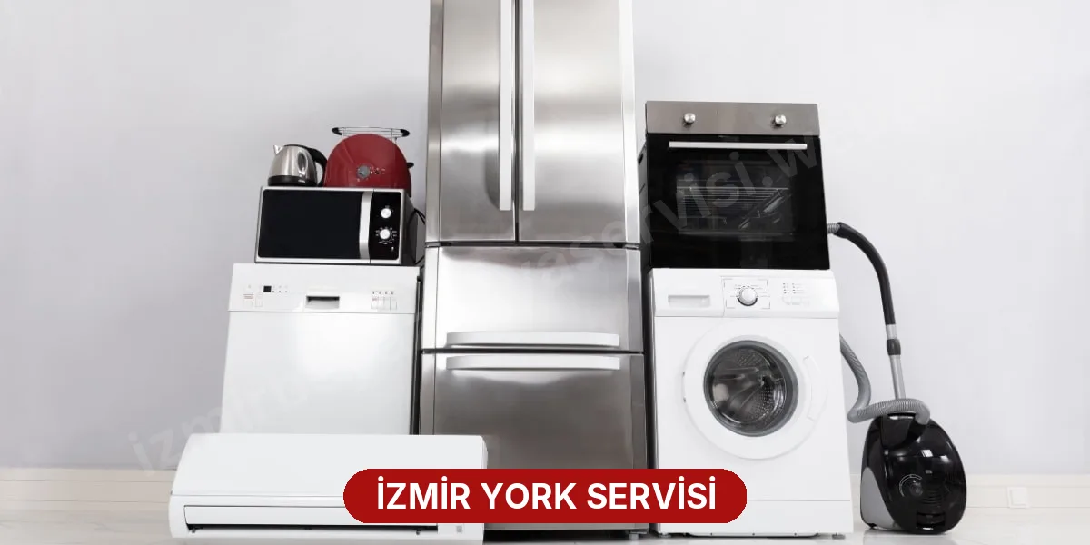 İzmir York Servisi